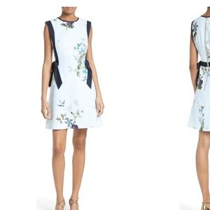 Ted Baker Sipnela A-line dress